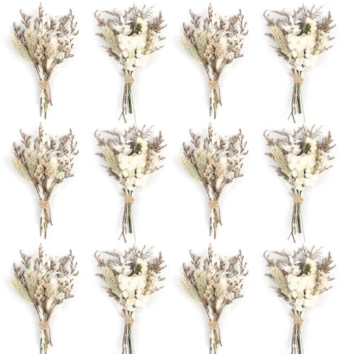 Larber 12PCS Mini Fiore Seccato Bouquet Fiori di Selvaggio Seccati Fiori Seccati Mini Fiore Seccato con Stelo per DIY Photo Props Vaso Decorazione Matrimoniale