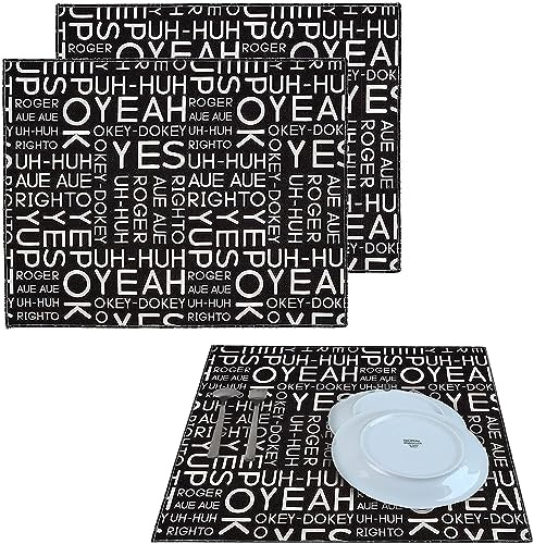 HAMUR HOME Mikrofaser Abtropfmatte für Geschirr 2 Stk 40x46cm HOCH SAUGFÄHIG Trockenmatte, Schnelltrocknend Spülbeckenmatte Geschirrabtropfmatte Geschirrunterlage für Küche, Microfiber Dish Drying Mat
