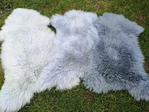Provellus TOP ÖKO LAMMFELL SCHAFFELL Felle HELLGRAU BLAUGRAU DUNKEL GRAU TÖNE NEU L - XXL (DUNKELGRAU, 110-120 cm x 60-70 cm)