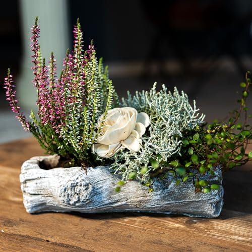 Zement Pflanzschale grau Baumstamm (A) 12 x 24cm Blumentopf Deko-Schale bepflanzbar