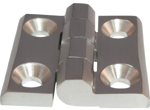 Scharnier Anschraubscharnier Edelstahl Inox 60 x 60 mm 270° AISI 316