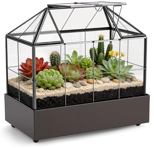 Mini Gewächshaus Glas ,25 x 24 x 14cm Pflanzen Terrarium Klein Flaschengarten,gewächshaus Glas ,Pflanzen glashaus,Pflanzenterrarium mit Deckel für Sukkulenten, Kakteen Indoor(Schwarze Rinne)