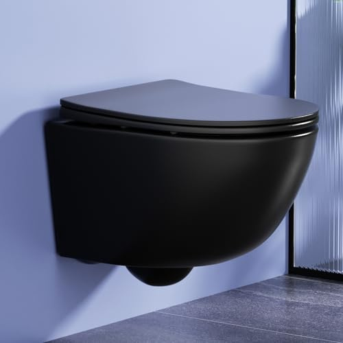 Rainsworth Wand WC Spülrandlos Doppelloch Spülung, Schwarz, 48,5 cm lang | WC-Sitz mit Absenkautomatik, Wassersparend, Hochwertige Keramik, leicht zu reinigen, einfache Montage