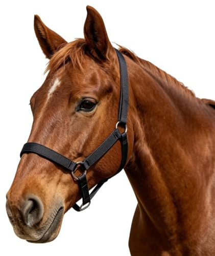 Generisch Cow Halter for Adjustable Pasture and Horse Show Accessories | Riding harness suitable for use on the farm, lambs, calves, cows, farm animals, goats and sheep
