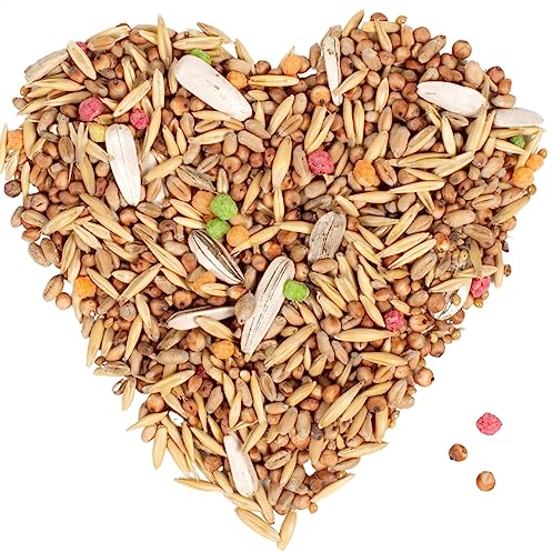 Lyra Pet® | 10 kg Streufutter | HK Polen | Ganzjähriges Wildvögel Vogelfutter | Ideal für die Bodenfütterung | Zur Befüllung von Vogelhäusern & Futterspendern | Für Körnerfresser | Spendet Energie