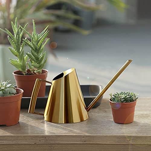 900ml Edelstahl Langmund Gießkanne Gold Metall Kleine Blumengießkanne Zimmergießkanne Blumenkanne Topfsprinkler für Büro Garten Pflanzen Innen Außen