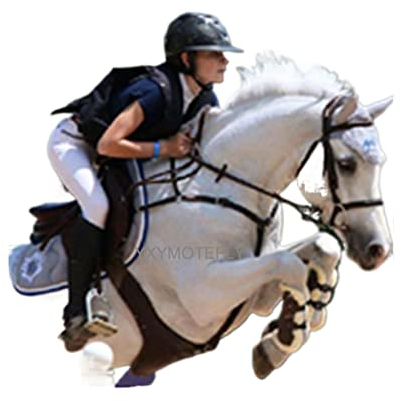 Chaleco Con Airbag for Moto Chaleco Airbag Ecuestre Chaqueta De Motociclista Protector De Espalda Adecuado for Niños, Mujeres, Equipo Ecuestre for Hombres. (3XS-2XL) ( Color : Black , Size : XS )