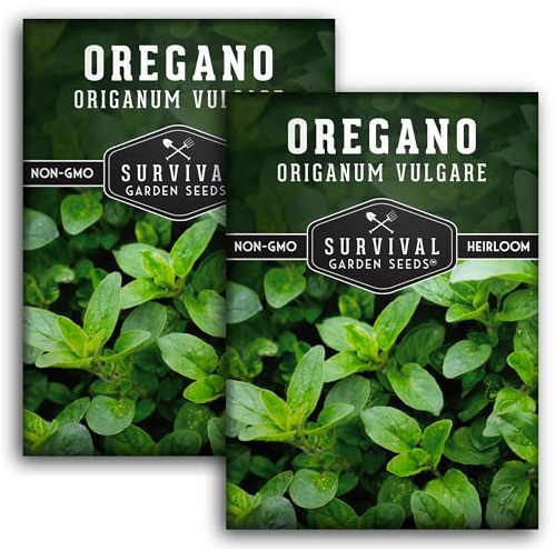 Oregano Seeds for Planting - Origanum Vulgare Culinary Herb for Italian Dishes - Grow Indoors or Outdoors for Fresh Flavor and Pollinators - Heirloom, Non-GMO - Survival Garden Seeds (2 Packs)
