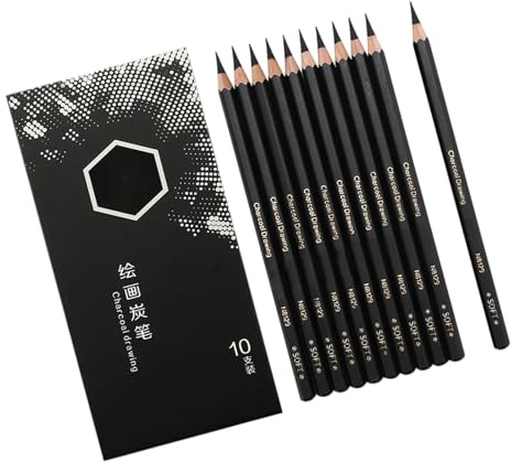 10pieces Professionale Carbone Penne Da Disegno Set Schizzo In Legno Matita Per Artisti Principianti Disegni Schizzi Ombreggiatura Matite Arte In Legno