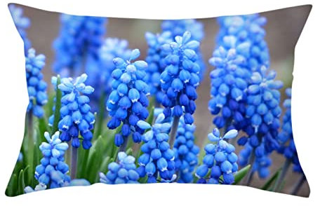 4er Kopfkissenbezug 30x50cm, Kissenabdeckungen Grün Blau Hyazinthe Polyester Kissenbezüge Deko Wohnzimmer Schlafzimmer