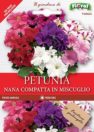 Semi di Petunia Nana, tutti i colori per Terrazzi, Fioriere, Vasi e Giardino, Fioritura Abbondante e Prolungata