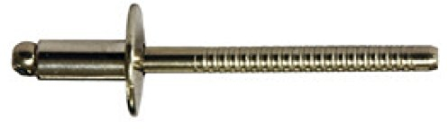 4,8 X 14,0 mm 250 Stück Edelstahl A2 / Edelstahl A2 Extra Grosskopf Blindnieten Dichtnieten Nieten