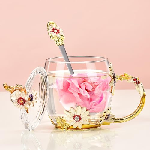 Wisolt Geschenke für Frauen Mutter Geschenk Teetasse Glas Geschenke für Mütter ihre Weihnachten Jahrestag Valentinstag Muttertag Lehrer Freund Glas Kaffeebecher mit Löffel Set Deckel