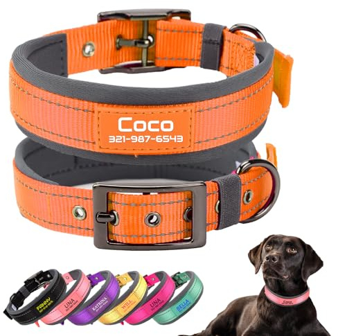 Personalisierter Nylon‑Hundehalsband,Schnalle,Neopren‑Polsterung,Orange | Individuell gravierter Name & Telefon;reflektierende Nähte,robust,weiche Neopren‑Polsterung,einstellbar für alle Hundegrößen