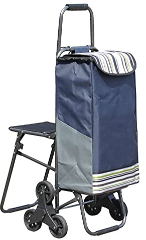 Carrello della Spesa Trolley Manico in Acciaio 6 Ruote Robusto 100 kg Organizzatore 33L con Sedile Pieghevole Rimovibile Anziano Salire Le Scale Supermercato Viaggio Picnic Camion a Mano Trolley