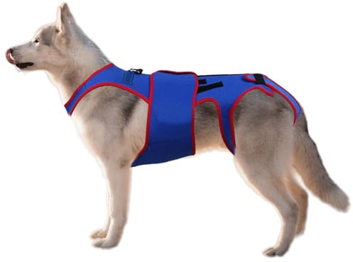 hüftbandage für hunde hüftbandage hund hüftbandage für hunde die rückenbandage des hundes hilft kleinen hunden die unterstützung rückenschutz mit d-Ring und reflektierenden streifen aiut
