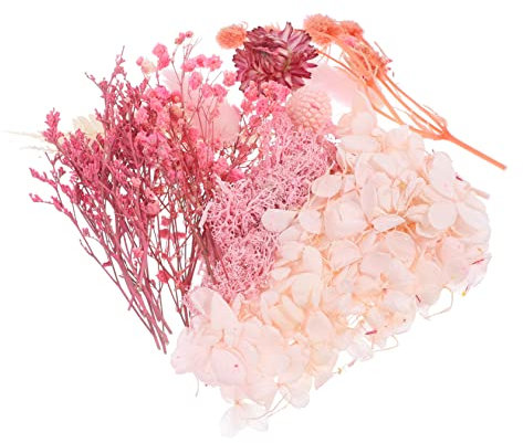 PRETYZOOM 1 Set Di Fiori Secchi Dell'Immortalità Decorazioni Per Candele Decorazioni Per Candele Foglie Pressate Essiccate Fai Da Te Mini Pressate Rosa Materiale