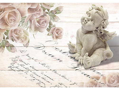 Runa Art Papier peint intissé Mural Vintage Floral Rose Ange Moderne Toison Salon Chambre à Coucherr Salle - Tableaux Muraux Tapisserie Photo - beige 9231010c