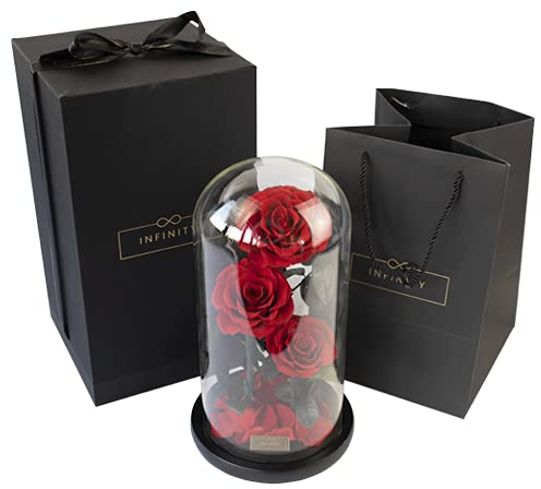 Infinity Flowerbox - Dome Rose XXL in Rot - 3 echte konservierte Rosen im Glas, wie bei die Schöne und das Biest - Geschenk zum Valentinstag