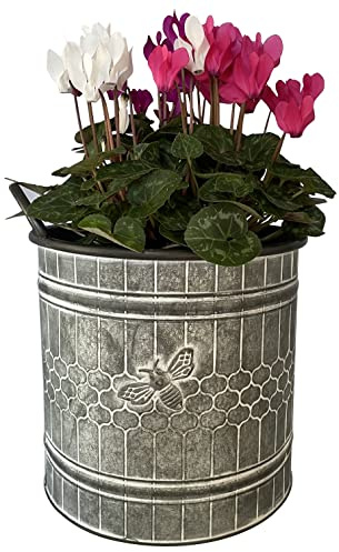 OF Große Blumentöpfe mit Deko Biene - Übertopf, Blumentopf, Pflanzkübel im Vintage Stil (Großer Eimer)