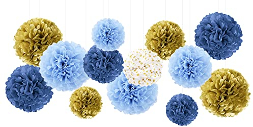 YBwanli pom pom carta velina,pompon,decorazioni festa,decorare tavolo per nozze,fiori di carta,decorazioni battesimo bimba,nuovo stile Decorazioni per feste eleganti ed ecologiche, confezione da 13
