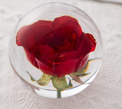 Zhyx Red Rose Briefbeschwerer Crystal Wishing Ball Der einzigartige rote ist ein perfektes Geschenk für Familie, Freunde, Paare und Kinder (8cm) im Durchmesser