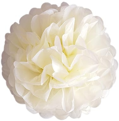 24 Stück Deko Pompons Seidenpapier Pompoms Papier Blumen Pom Poms, Dekorpapier Blumenpuscheln für Party Hochzeitsdeko Festival Geburtstag Baby-Shower Weihnachten Gartenparty Deko,Beige