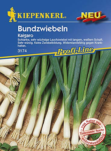 Kiepenkerl 3174 Bundzwiebel Kaigaro (Lauchzwiebelsamen)