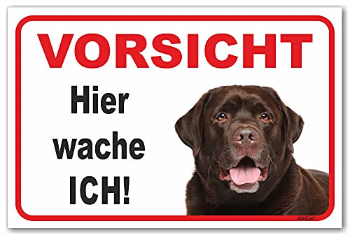 AdriLeo Schild - Vorsicht brauner Labrador Retriever - Hier wache ich - (20x30cm) / Achtung Hund Wachhund robust langlebig UV-beständig wetterfestes Warnschild