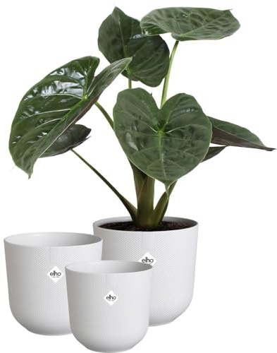 elho Jazz Rund 14,16,19 Blumentopf - Seidenweiß | ∅ 18.9 x H 17.6 cm | 3 Artikel Enthalten | für den Innenbereich | 100% recyceltes Plastik