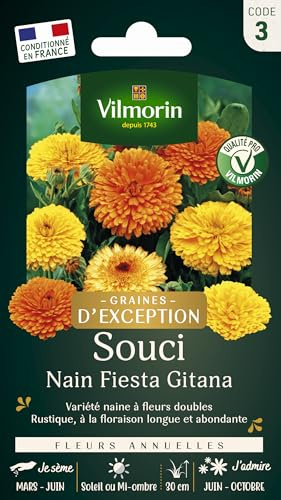Souci Nain Fiesta Gitana - Graines d'Exception