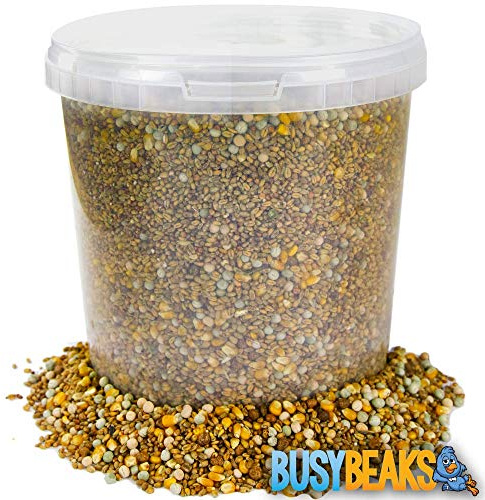 BusyBeaks Four Seasons Pigeon Corn | Premium Grade Natural Food Mix | Rich in Nutritious Oils Vitamins and Minerals | Perfect Year-Round Wild Bird Seed Feed | High in Protein Energy & Fibre (2.5L Tub)