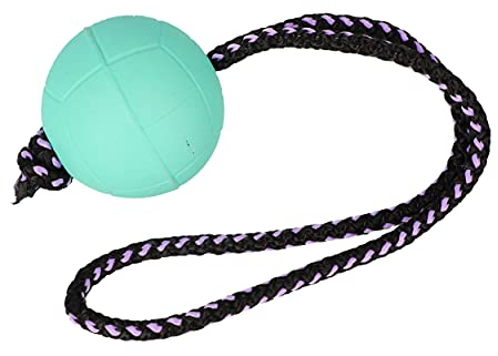 Dingo Bäll BIBI für Training # 70 mit Griff 30 cm Farbe Minze schwimmend Bäll Kautschuk Gummi Apport Spiel mit Hund 17250