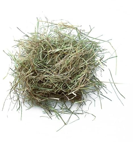 Foin de Prairie pour Lapins et rongeurs 5 kg