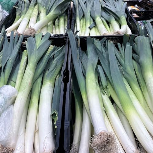 Semillas de puerro resistente - para camas elevadas, Variedades antiguas para jardín invierno, 300pcs