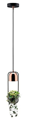 Paulmann 79749 Taklampa Fanja Växtbelysning max. 20 Watt Hängande lampa Svart, koppar Metall GU10 utan glödlampa