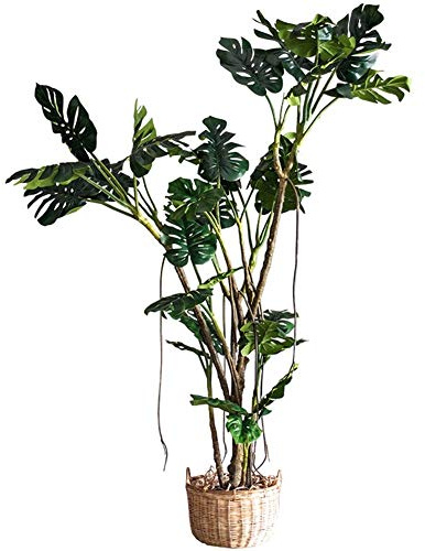 Plante Monstera réaliste brillante en pot noir – Parfait pour la décoration intérieure ou de bureau