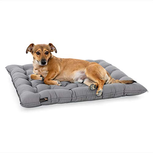Pointer | Urban Hundekissen Mittelgroße Hunde, 70x60 cm - Orthopädisches Hundebett Waschbar bis 95°C, Geruchsfrei, Robust, Indoor & Outdoor, Made in Germany (XL - 70x60 cm, Hellgrau)