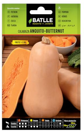 Semillas de Calabaza Anquito-Butternut