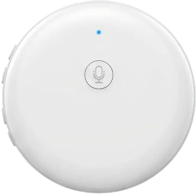 iPalamila Smart Wearable Translator，Capable of translating 165 Languages，Foreign Language Practice Partne