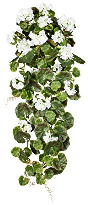 kunstpflanzen-discount.com Künstliche Hängegeranien 80cm lang mit weißen Blüten UV-Beständig - Pelargonien Geranien Blumen hängend zum Stecken