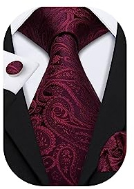 Barry.Wang Burgundy Ties Silk Paisley Necktie Set Fashion Men Pocket Square Cufflinks Wedding Party Formal