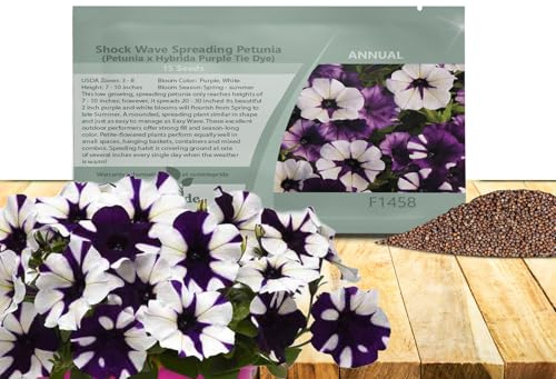 Outsidepride Purple Tie Dye Shock Wave Petunia Seeds - 15 Pcs. Annual, Compact & Spreading Flower Seeds for Planting Low Growing Vibrant Blooms, Garden Beds, Hanging Baskets & Container Displays