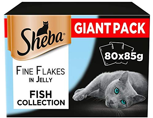 Sheba Delicacy Flavours in Jelly - Nassfutter für Katzen - 80 x 85 g