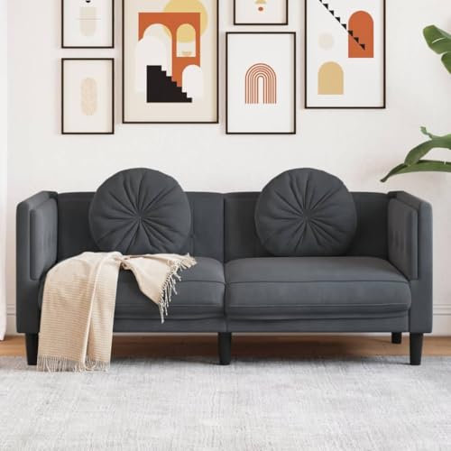 Somanki Sofa mit Kissen 2-Sitzer Dunkelgrau Samt, Loungesofa, Sofas & Couches, Relaxsofa, Couch für Wohnzimmer, 372633