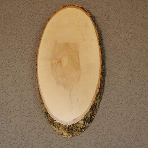 GTK - Geweihe & Trophäen KRUMHOLZ Birke Damhirsch AF 31 cm Dam Hirsch Schild Trophäenschild Geweih Baumscheibe Baumschild Natur Holz modern