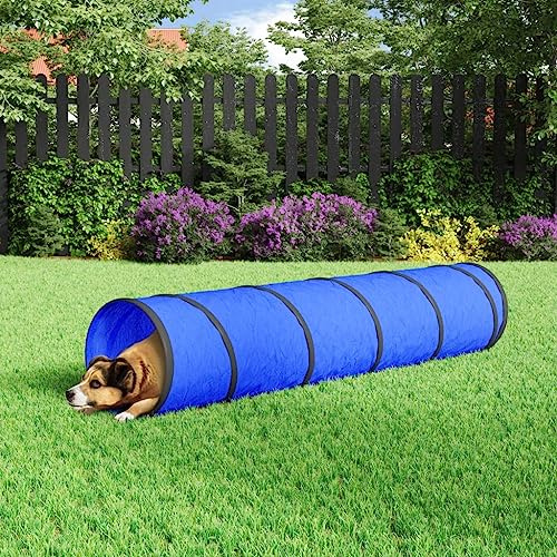 Ziaphsol Hundtunnel blå Ø 40 x 200 cm polyester lektält kryptunnel för inomhus utomhus, med pinnar och bärväska, gömställe och grotta för husdjur