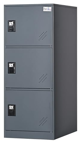 MECOLOR Petit casier Vertical avec Cadenas, Petit casier pour la Maison, la Salle de Gym, Armoire de Rangement pour Bureau, 2 ou 3 Niveaux (Gris, P3V)
