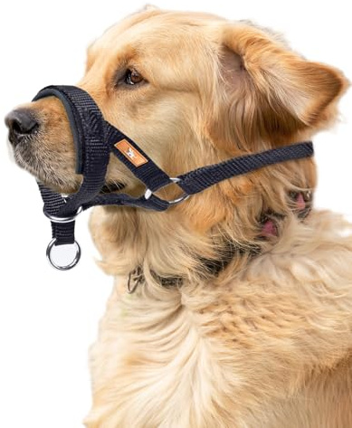 wintchuk Dog Head Collar with Soft Fabric, Head Harness Stops Dog Pulling, Head Leash for Small Medium Large Dogs Walking(L, Black)