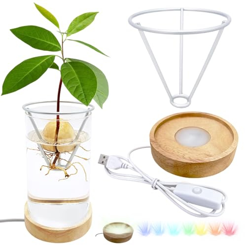 Avocado Vase, Avocado Seed Starter Vase with Wood Multicolor LED Light Base, Avocado Growing Kit with Plant Support, Acorn vase, propagation stations for Forcing Hyacinth and Tulip Bulbs(Matte Silver)